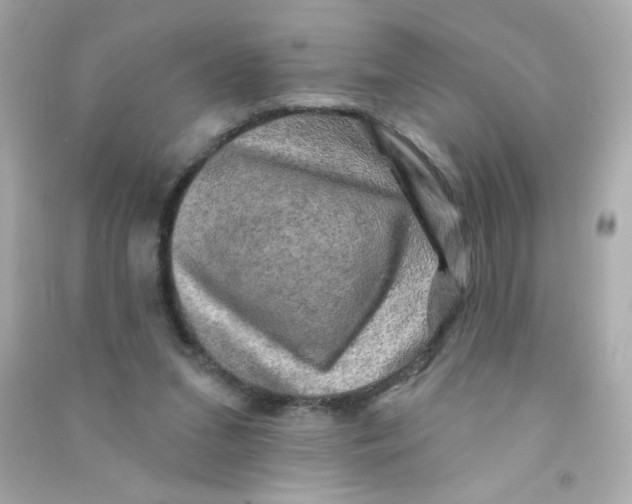 X0000090440207200708102034