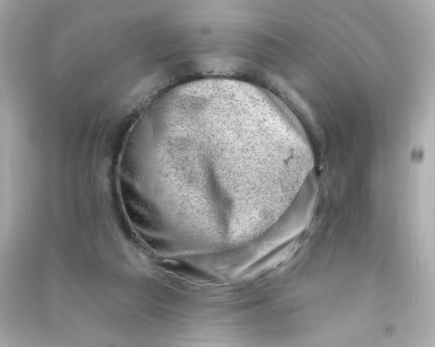 X0000090440209200708102034