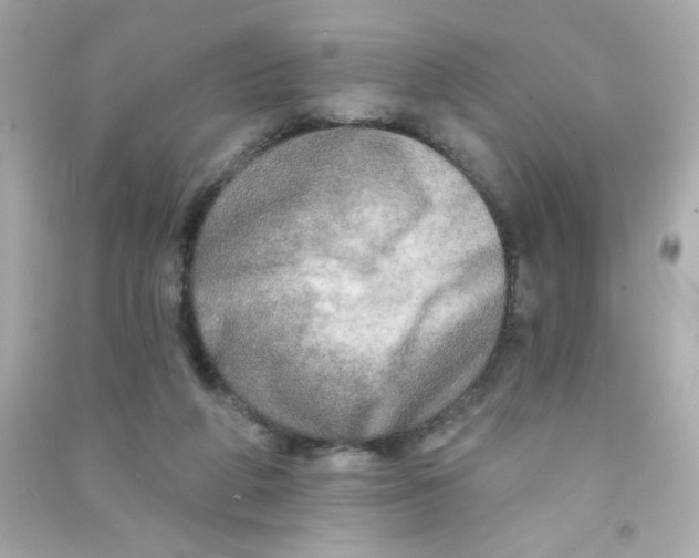 X0000090440210200708102034