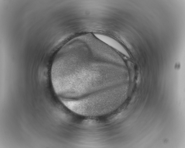X0000090440211200708102034