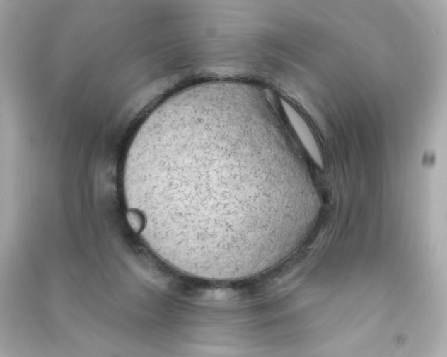 X0000090440212200708102034