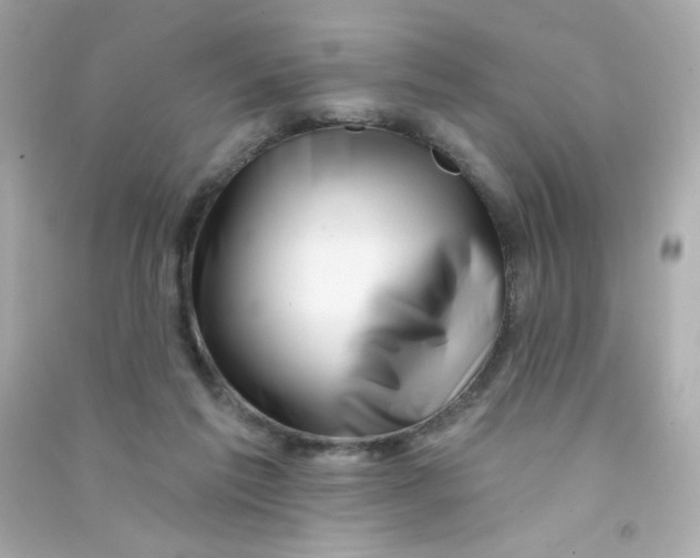 X0000090440213200708102034