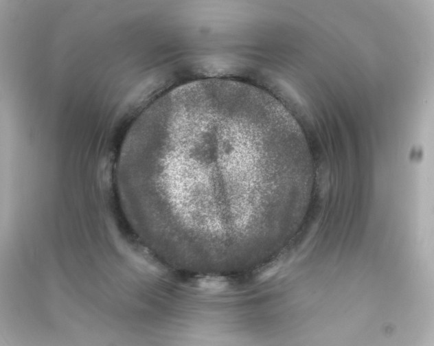 X0000090440214200708102034