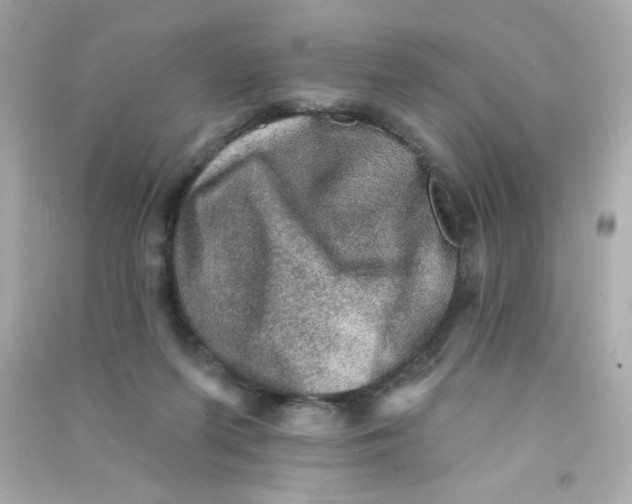 X0000090440215200708102034