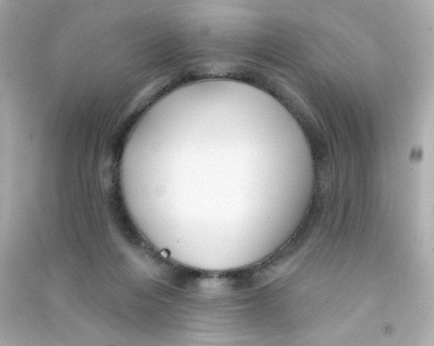 X0000090440216200708102034