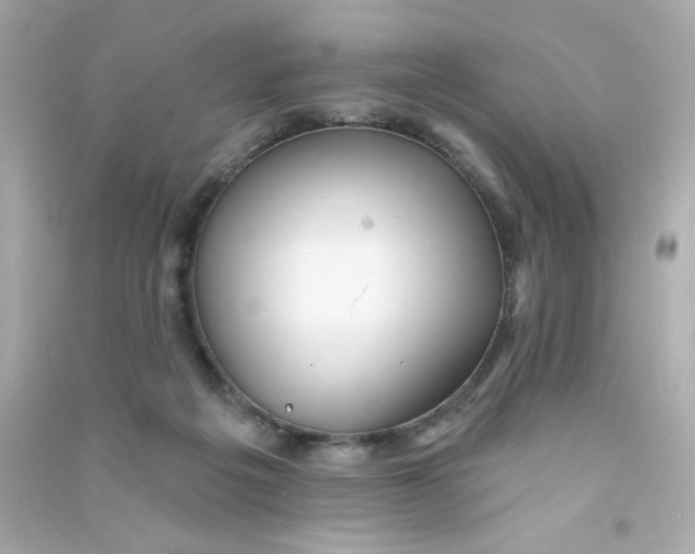 X0000090440217200708102034