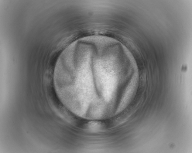 X0000090440218200708102034