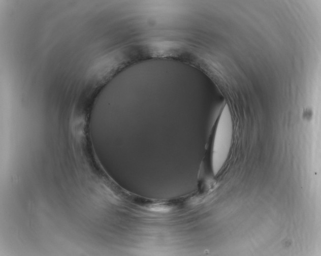 X0000090440219200708102034