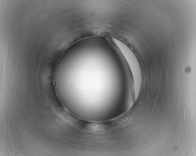 X0000090440221200708102034