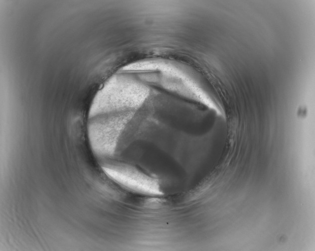 X0000090440222200708102034