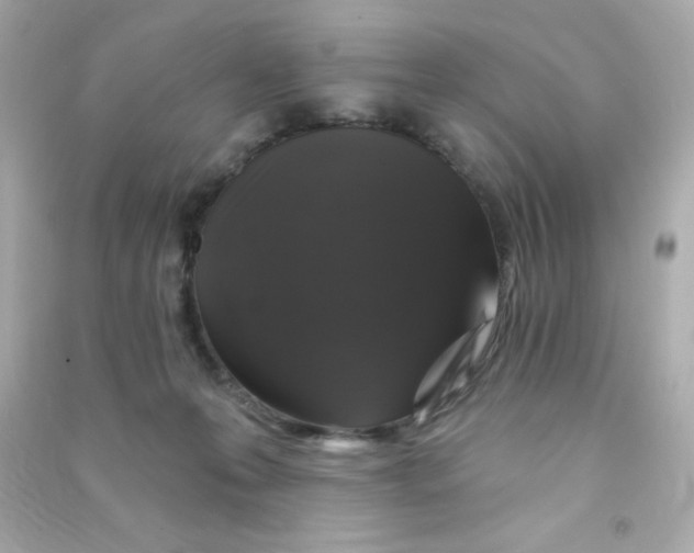 X0000090440223200708102034