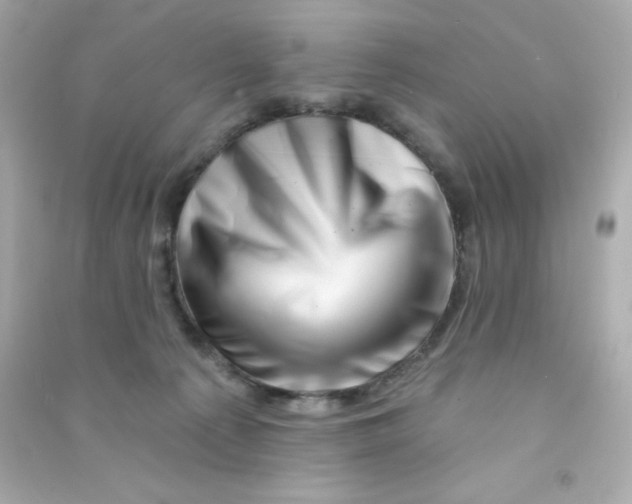 X0000090440225200708102034