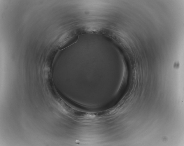 X0000090440227200708102034