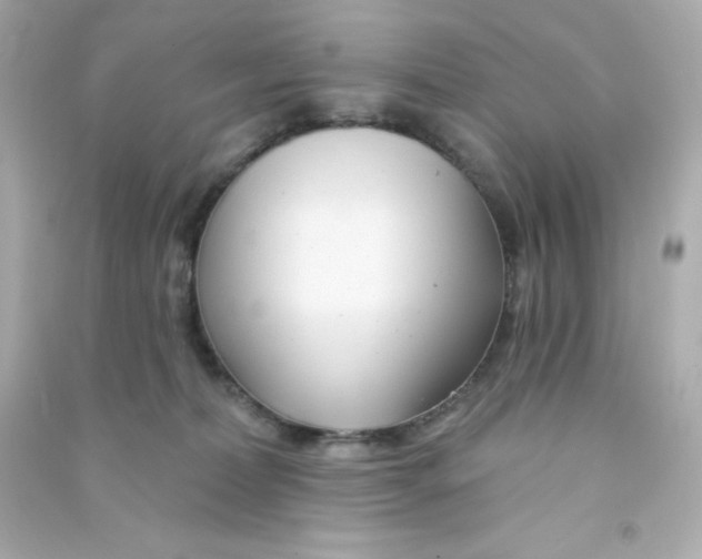 X0000090440228200708102034