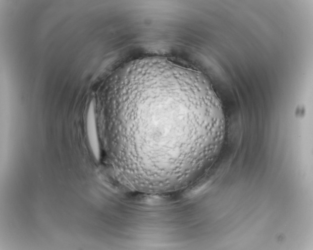 X0000090440229200708102034
