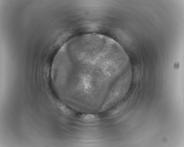 X0000090440230200708102034