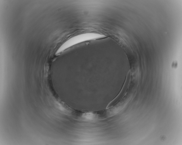X0000090440231200708102034