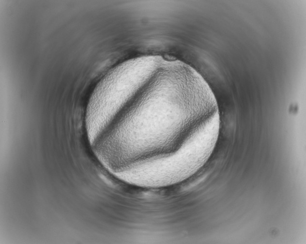 X0000090440232200708102034