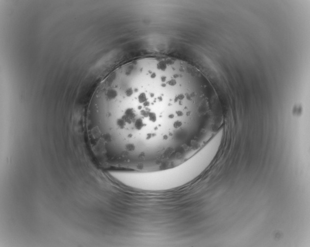 X0000090440233200708102034