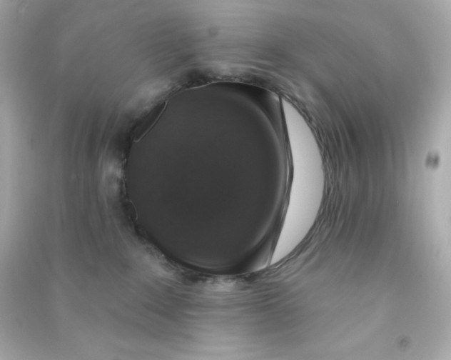X0000090440235200708102034