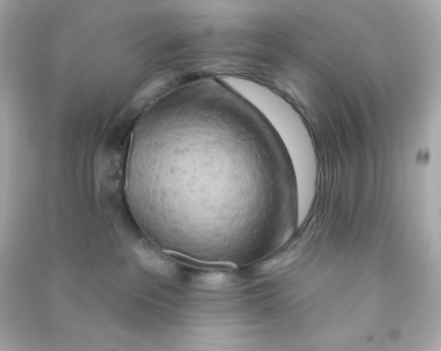 X0000090440237200708102034