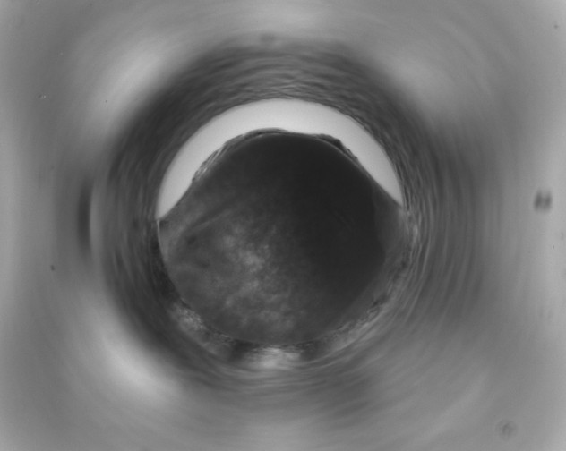 X0000090440239200708102034