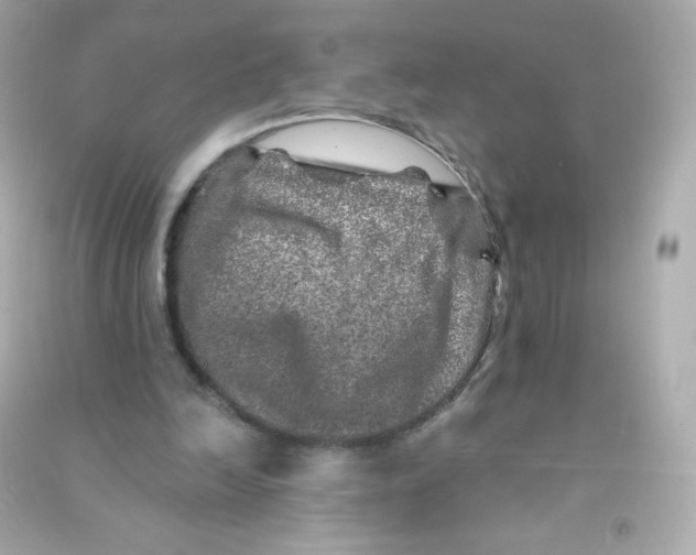 X0000090440246200708102033