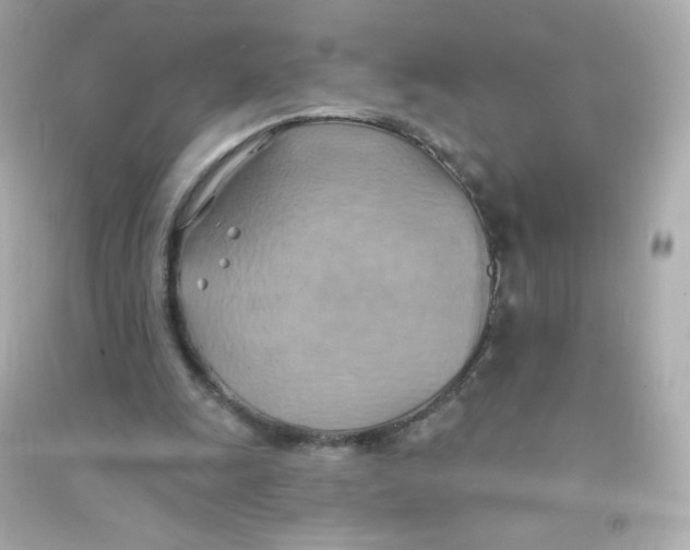 X0000090440247200708102033