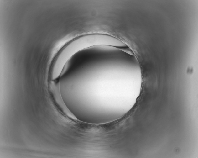 X0000090440248200708102033