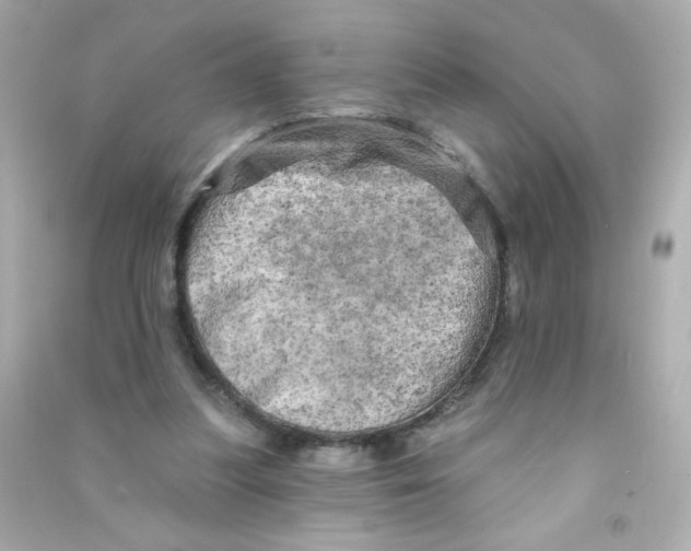X0000090440251200708102033