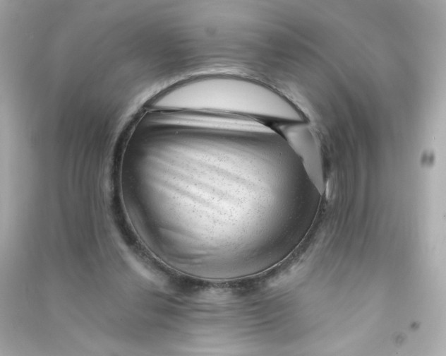 X0000090440252200708102033