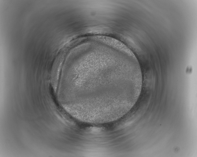 X0000090440255200708102033