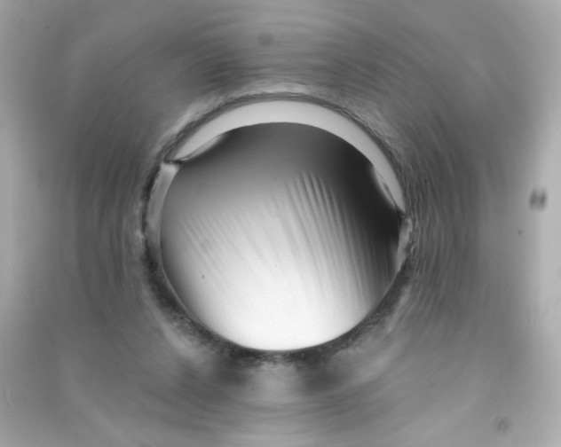 X0000090440256200708102033