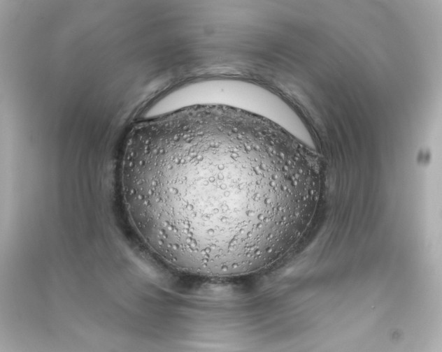 X0000090440260200708102033