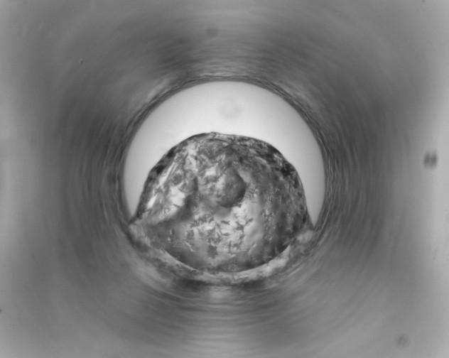 X0000090440264200708102034