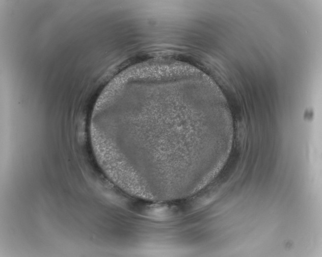 X0000090440267200708102034