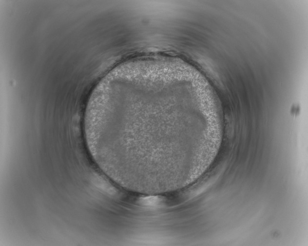 X0000090440269200708102034