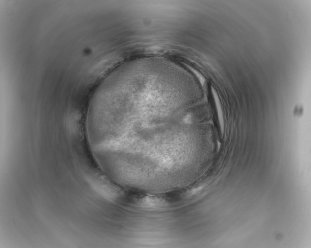 X0000090440270200708102034
