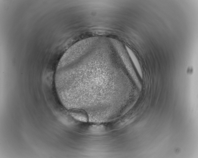 X0000090440271200708102034