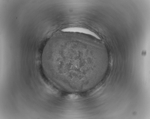 X0000090440272200708102034