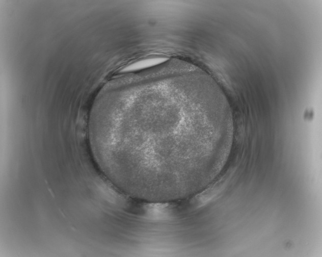 X0000090440273200708102034