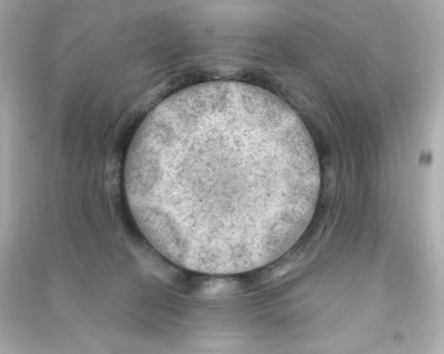 X0000090440274200708102034