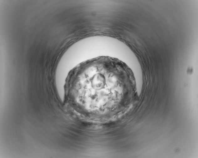 X0000090440276200708102034