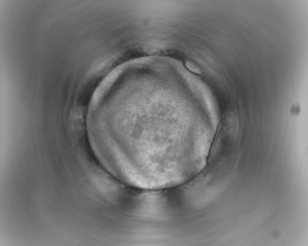 X0000090440280200708102034