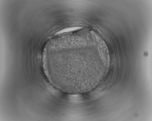 X0000090440281200708102034