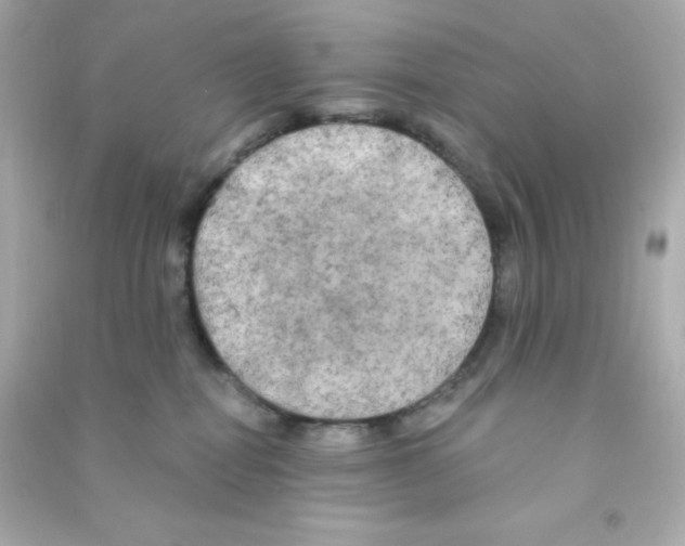 X0000090440282200708102034