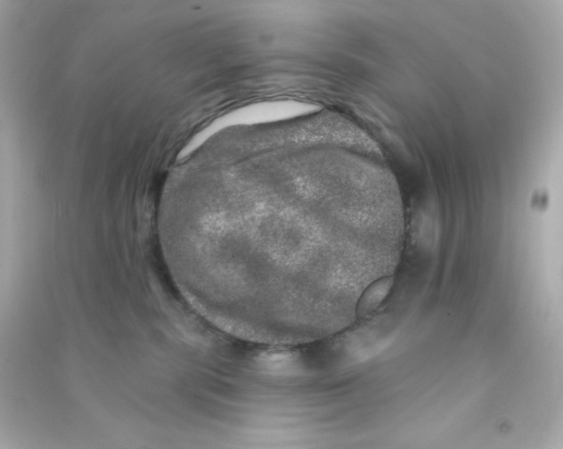 X0000090440283200708102034