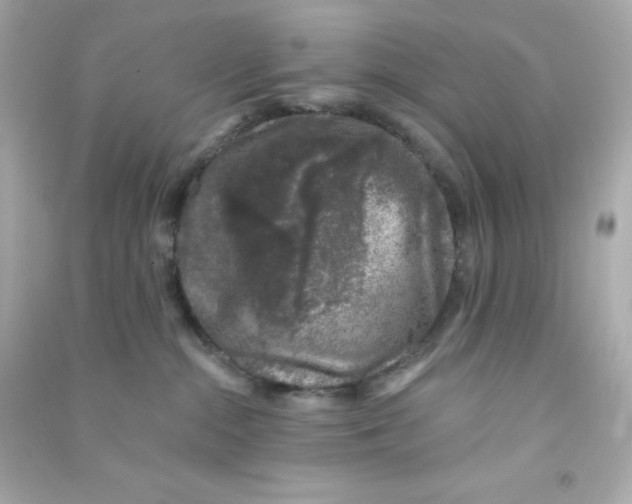X0000090440284200708102034