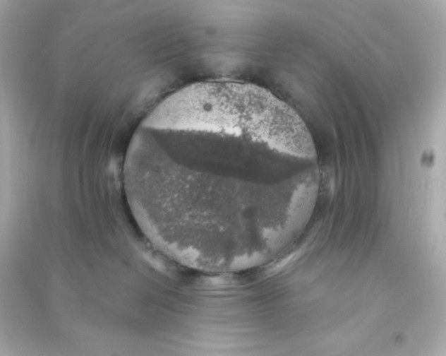 X0000090440286200708102034
