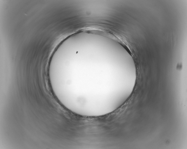 X0000090440289200708102033